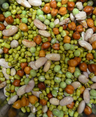 how to sprout mixed beans step4