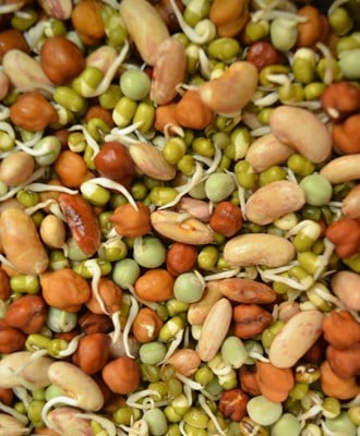 how to sprout mixed beans step5