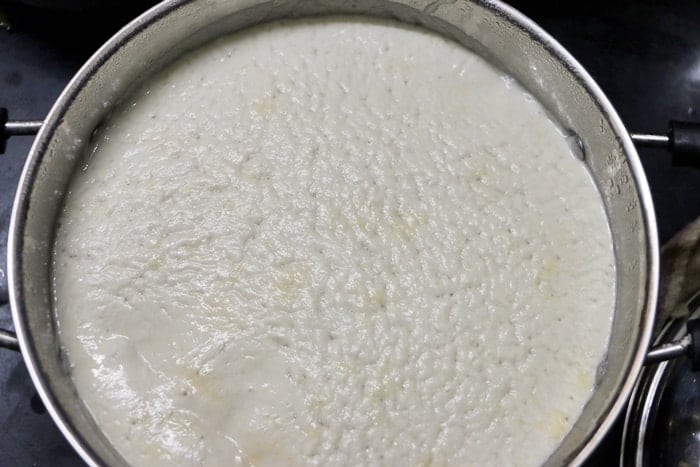 fermented dosa batter