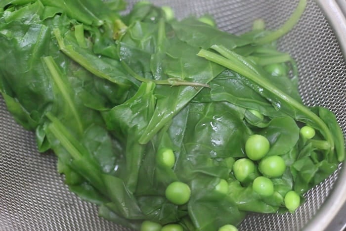 rinsing blanched spinach and peas in cold water
