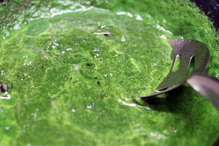 cooking spinach puree for palak rice recipe