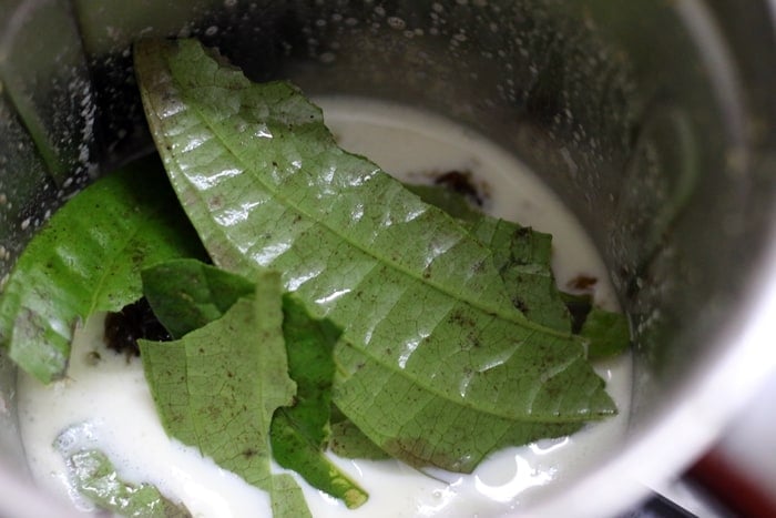 paan ice cream step 1