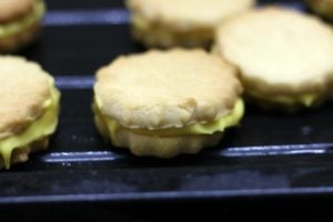 custard cookies sandwiched with cream