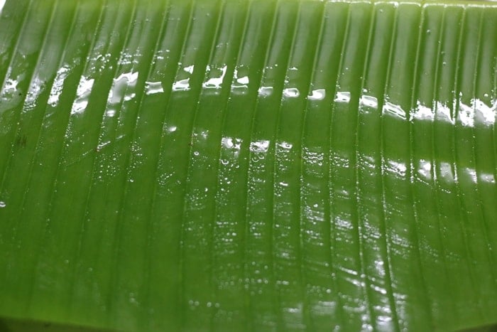 Greased banana leaf