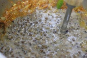 cooked lentils added to tomato puree