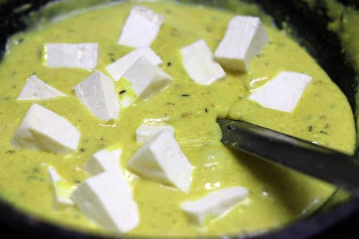 adding paneer cubes to shahi gravy