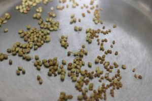 dry roasting coriander seeds
