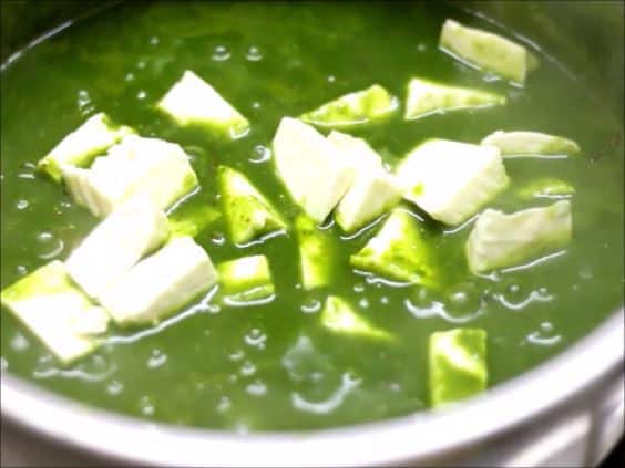 Indian cottage cheese or paneer cubes added to spinach masala