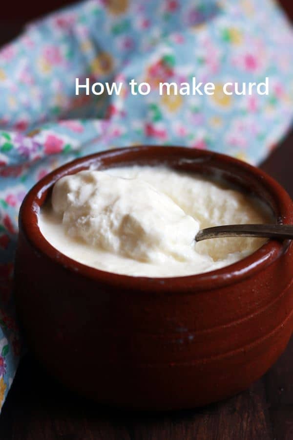 Homemade curd set in clay pot