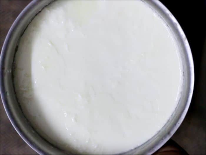 Homemade yogurt ready