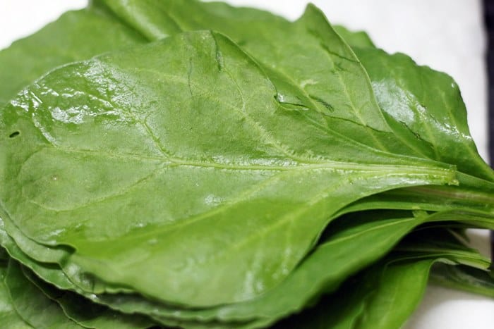 cleaned spinach eaves for palak pakoda recipe