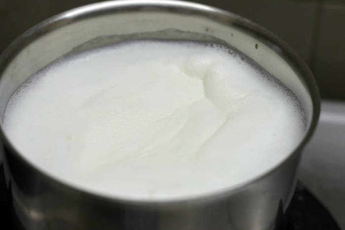 Boiled milk for making saffron milk recipe