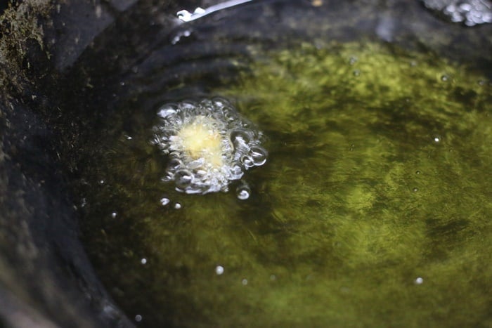 Testing oil temperature for frying pakode