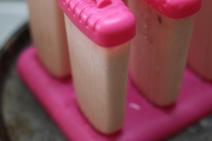 Ready to freese watermelon popsicle puree