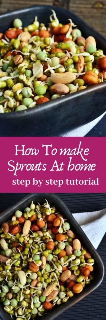 How to make sprouts