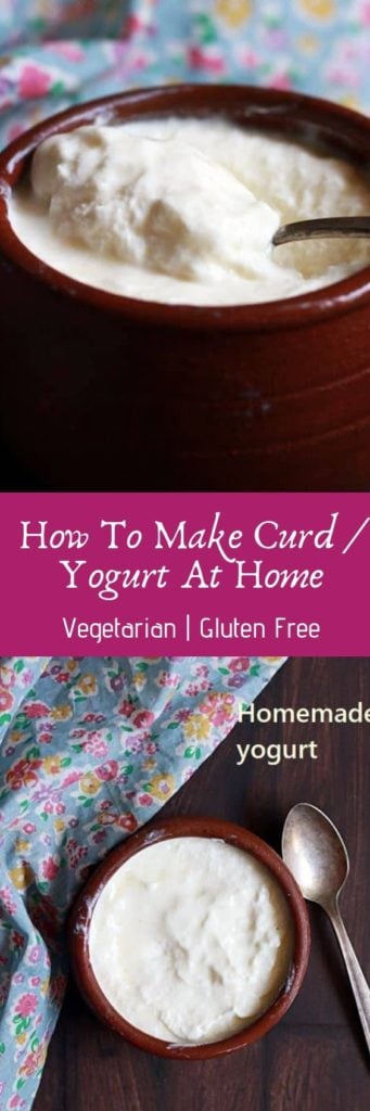 How to make curd or yogurt at home