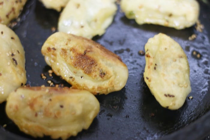 Homemade vegan potstickers