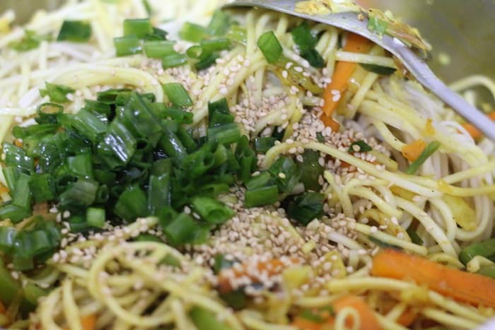 Garnishing veg hakka noodle