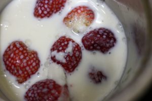 vegan milk added to berries in blender jar