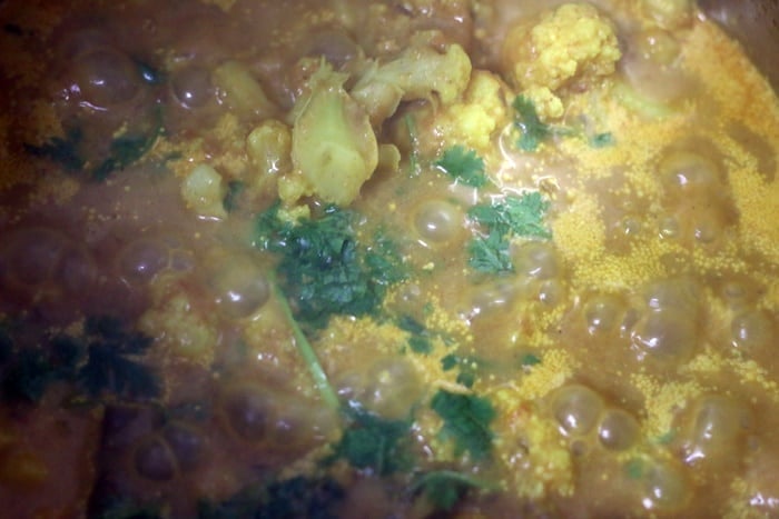 fresh cilantro leaves added to finished curry