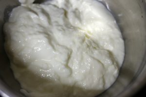 fresh homemade yogurt