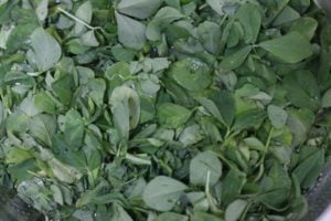 soaking methi leaves in water