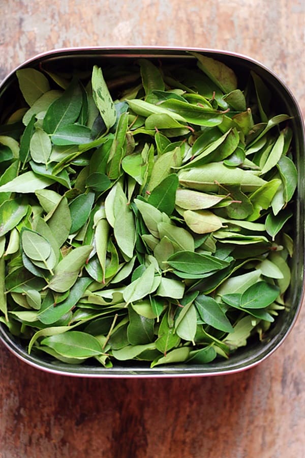 storing curry leaves in airtight container