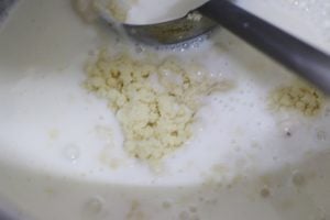 khoya added to thick milk